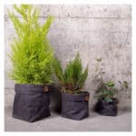 cache pots en toile charbon plantch