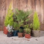 deco jardin cache pots