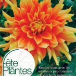 Fête des Plantes Saint Jean de Beauregard